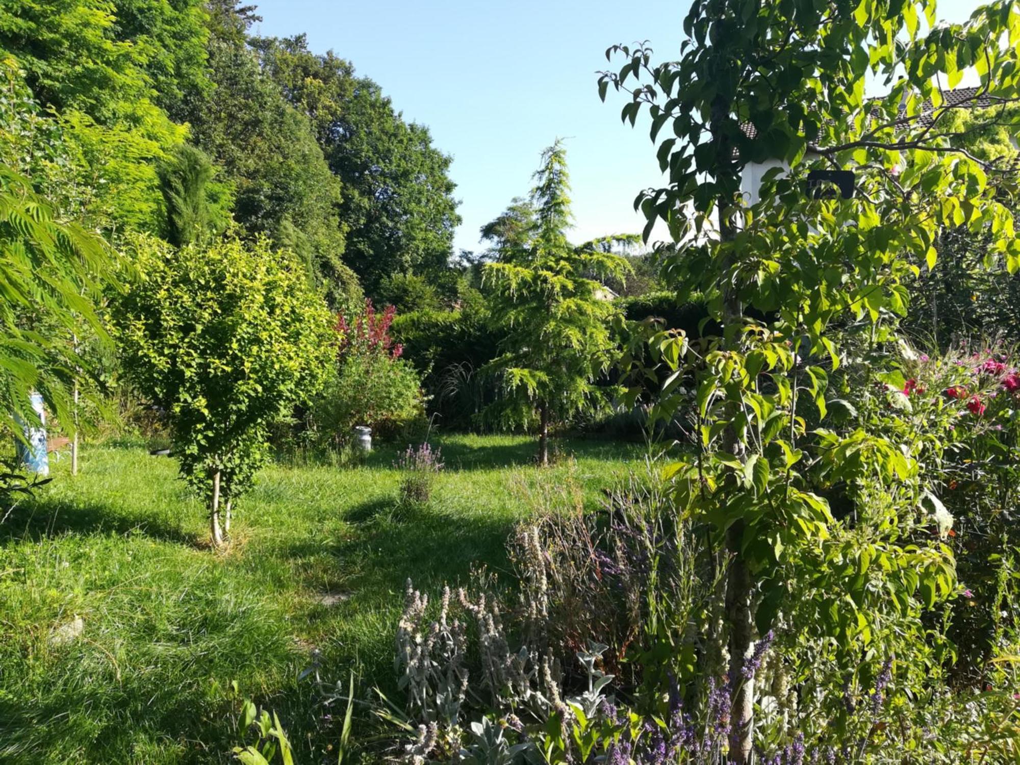 Apiculteur Loue 2 Chambres Dans Cadre Verdoyant Pagny-sur-Meuse Luaran gambar
